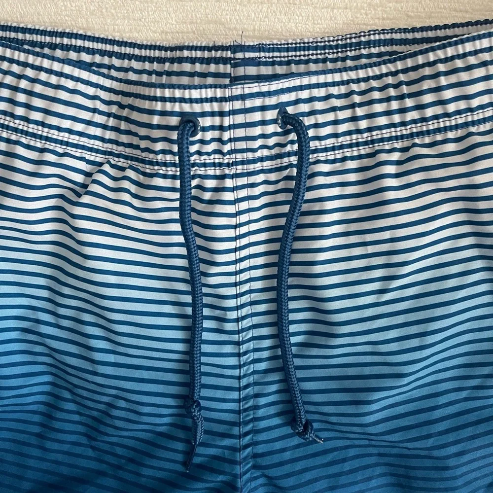 George Blue Ombre Stripe Swim Trunks